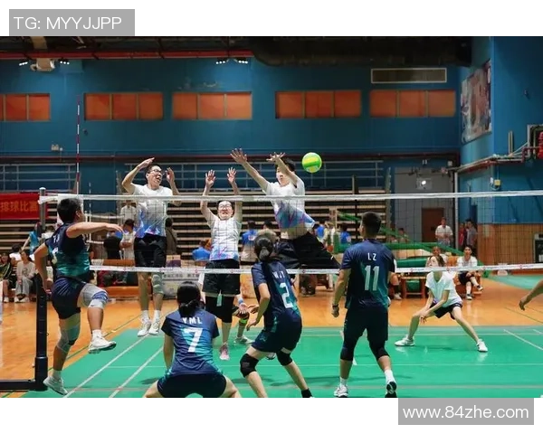 广州排球队比赛经验分享与成长之路的深度探讨与分析MBA