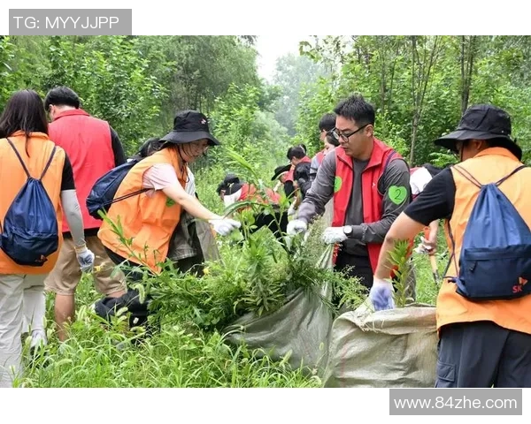 矿工与奥勒克山的较量探秘：资源争夺与生态保护的双重挑战