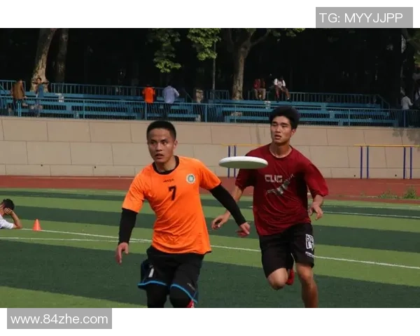 飞盘逆袭武汉队的奋斗历程与荣耀时刻全记录