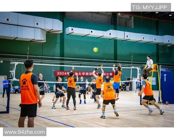 成都排球队的整体压制揭秘：深度解析排球战术与团队协作的完美结合